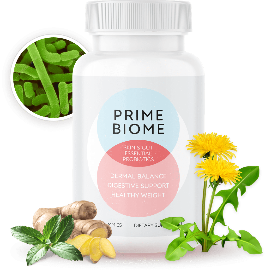 PrimeBiome Botlle